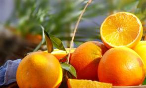 国际商标注册和维护的相关问题